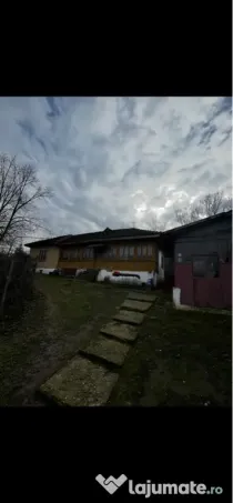 Teren intravilan 5000mp + casa