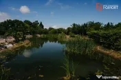 Casa individuala cu 8 camere si lac cu pesti, teren 4424 mp