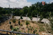 Casa individuala cu 8 camere si lac cu pesti, teren 4424 mp
