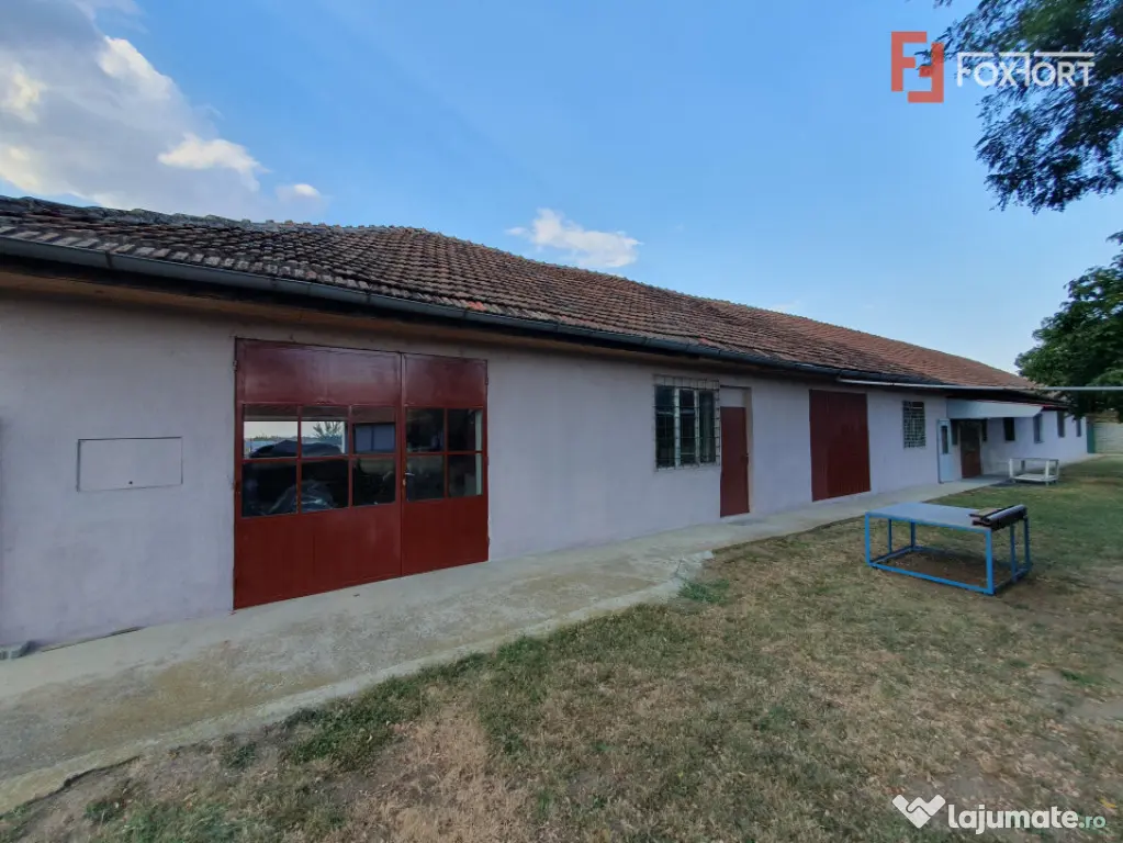 Spatiu de productie, 10 incaperi, 382 mp utili, 1800 mp tere - Peciu Nou (Timis)