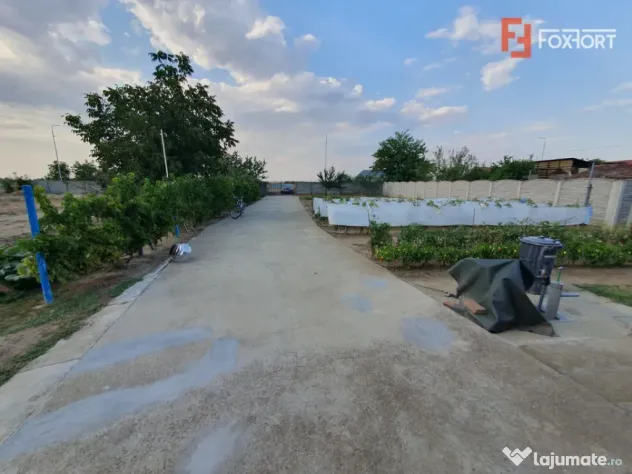Spatiu de productie, 10 incaperi, 382 mp utili, 1800 mp tere - Peciu Nou (Timis)