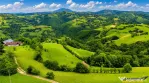 FILM! Cu view panoramic la 360 grade, teren 10.335 mp, Poian