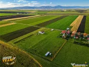FILM! Teren mixt, 2.493 mp, Chilieni, judetul Covasna