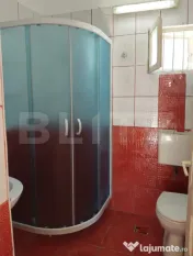 Casă renovată cu farmec istoric, livadă și 3.600 mp de t