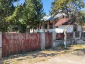 Casă renovată cu farmec istoric, livadă și 3.600 mp de t
