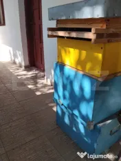 Casă renovată cu farmec istoric, livadă și 3.600 mp de t