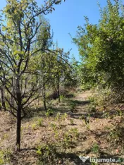 Casă renovată cu farmec istoric, livadă și 3.600 mp de t