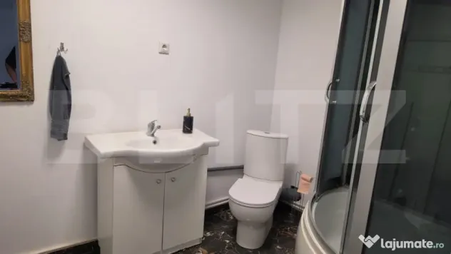Spatiu birou 80 mp. Ultracentral - Satu Mare (Satu-Mare)