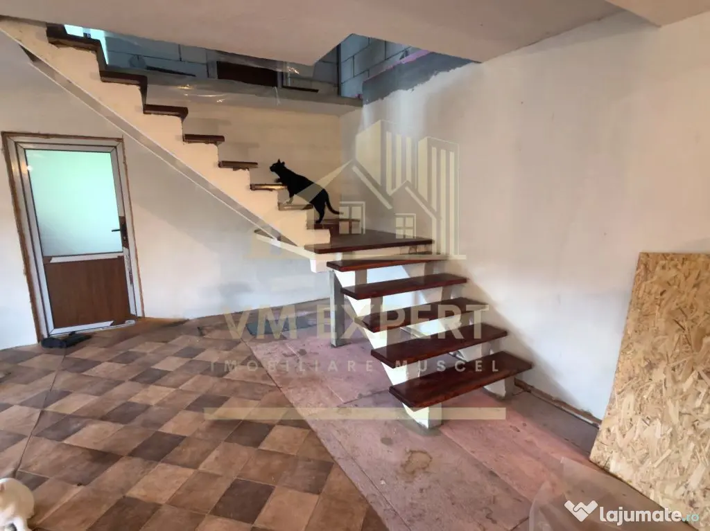 CASĂ 6 CAMERE TEREN 5736 MP LEREȘTI VOINEȘTI ARGEȘ - Leresti (Arges)