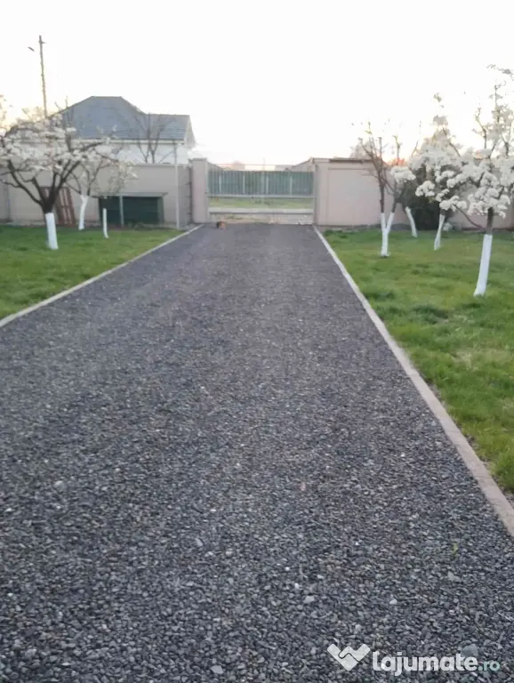 Vând teren pentru casa 595 mp + anexa locuibilă 42,5 mp in Sacalaz
