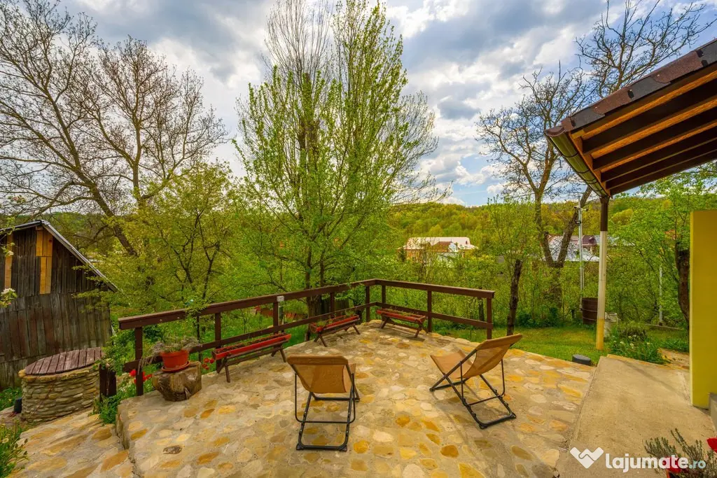 Provita de Sus, Prahova, Casa renovata, Comision 0 % - Provita De Sus (Prahova)