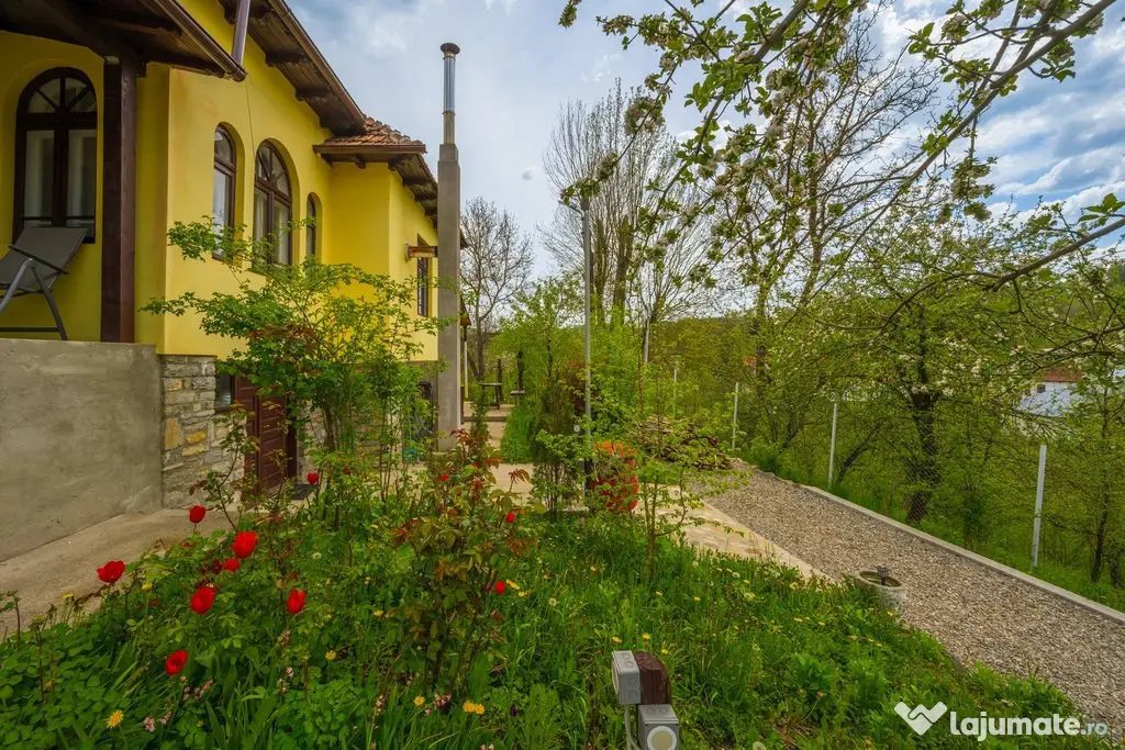 Provita de Sus, Prahova, Casa renovata, Comision 0 % - Provita De Sus (Prahova)