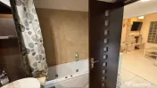 Dimitrie leonida studio drumul fermei cu gradina 