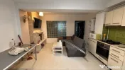 Dimitrie leonida studio drumul fermei cu gradina 