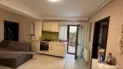 Dimitrie leonida studio drumul fermei cu gradina 