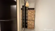 Dimitrie leonida studio drumul fermei cu gradina 