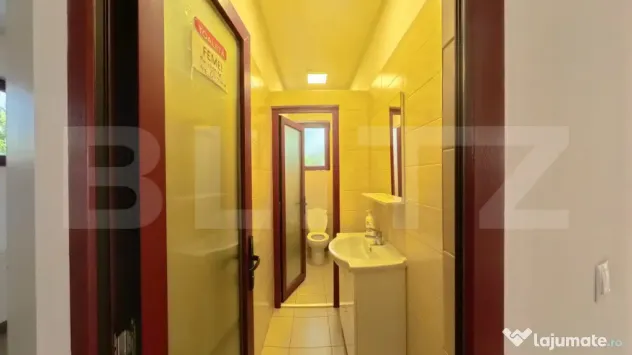 Spațiu industrial | Funcțiune mixtă | Hală de producție - Bistrita (Bistrita-Nasaud)