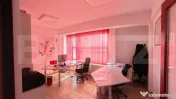 Spațiu industrial | Funcțiune mixtă | Hală de producție