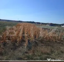 Teren intravilan agricol, 3.000 mp, zona Mihai Viteazu