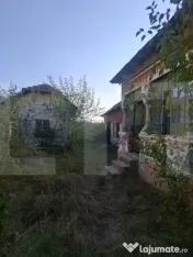 Urgent! Casă cu teren 5.038 mp, Pleșoiu-Arcești, stradă