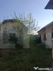 Urgent! Casă cu teren 5.038 mp, Pleșoiu-Arcești, stradă