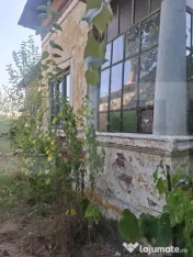 Urgent! Casă cu teren 5.038 mp, Pleșoiu-Arcești, stradă