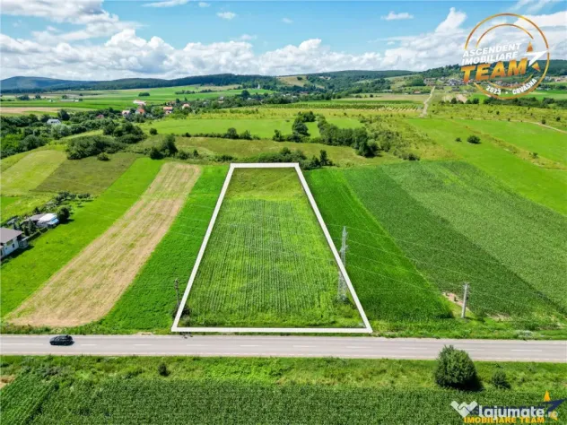 Oportunitate de investitie, PUZ aprobat: zona servicii, Sanc - Sancraiu (Covasna)