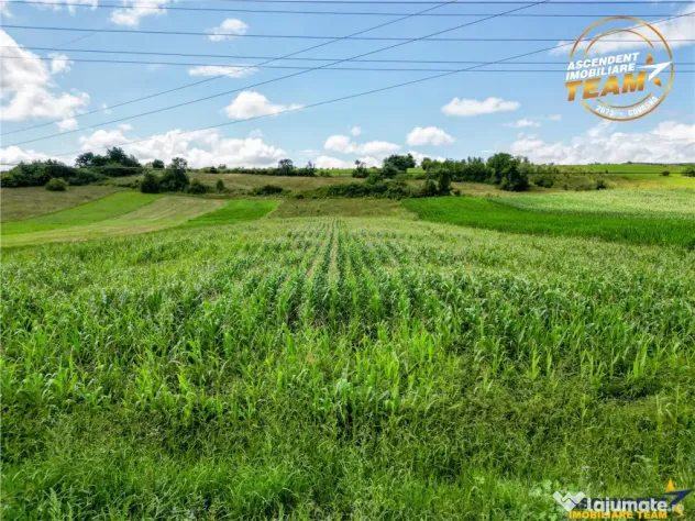 Oportunitate de investitie, PUZ aprobat: zona servicii, Sanc - Sancraiu (Covasna)