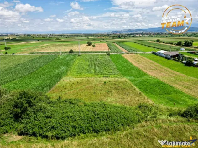 Oportunitate de investitie, PUZ aprobat: zona servicii, Sanc - Sancraiu (Covasna)
