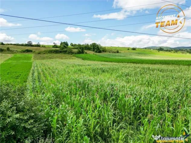 Oportunitate de investitie, PUZ aprobat: zona servicii, Sanc - Sancraiu (Covasna)