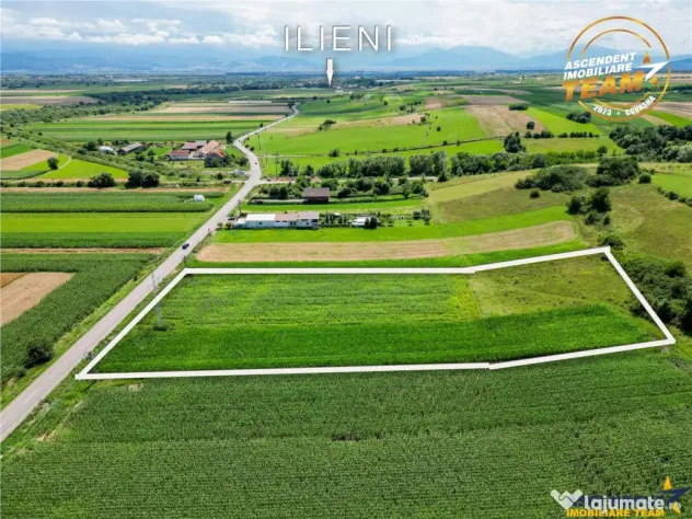 Oportunitate de investitie, PUZ aprobat: zona servicii, Sanc - Sancraiu (Covasna)