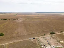 DASCALU – TEREN INTRAVILAN 11300 MP, INVESTITIE!