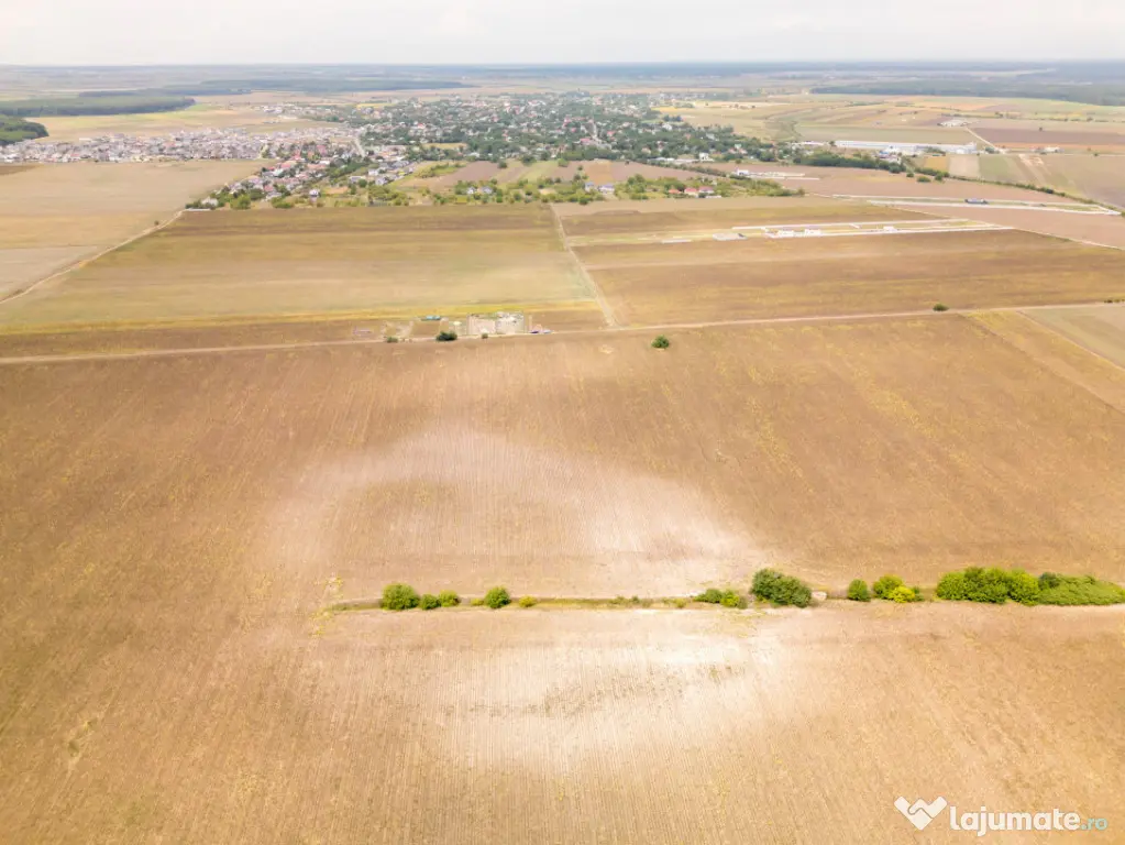 DASCALU – TEREN INTRAVILAN 11300 MP, INVESTITIE! - Dascalu (Bucuresti-Ilfov)
