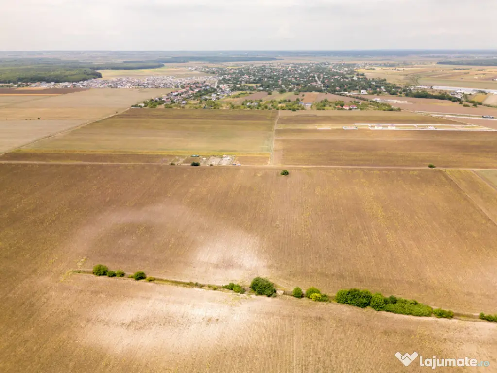 DASCALU – TEREN INTRAVILAN 11300 MP, INVESTITIE! - Dascalu (Bucuresti-Ilfov)