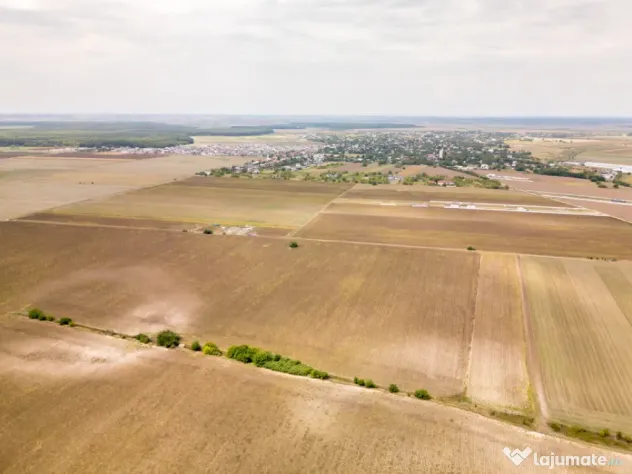 DASCALU – TEREN INTRAVILAN 11300 MP, INVESTITIE! - Dascalu (Bucuresti-Ilfov)