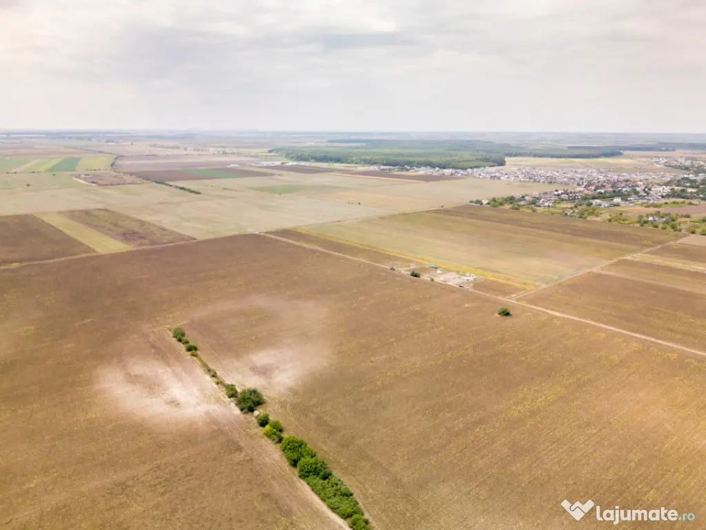 DASCALU – TEREN INTRAVILAN 11300 MP, INVESTITIE! - Dascalu (Bucuresti-Ilfov)