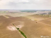 DASCALU – TEREN INTRAVILAN 11300 MP, INVESTITIE!