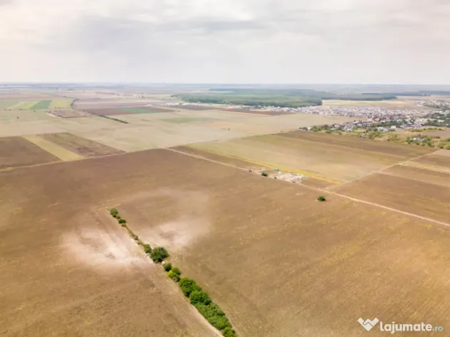 DASCALU – TEREN INTRAVILAN 11300 MP, INVESTITIE! - Dascalu (Bucuresti-Ilfov)