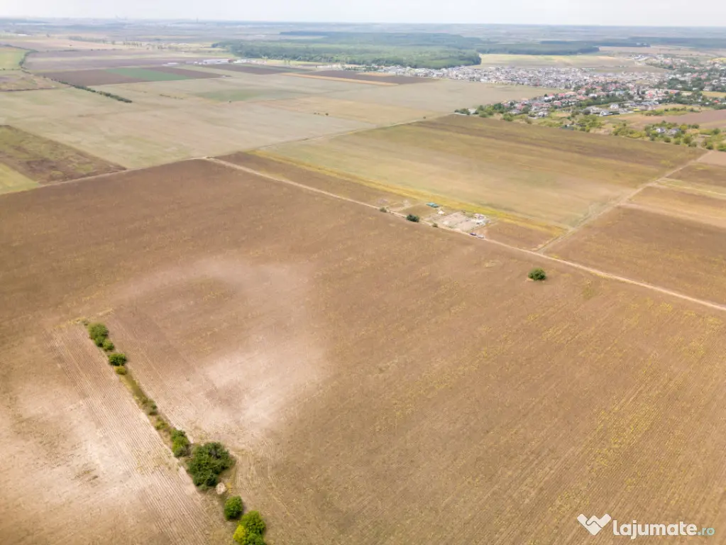 DASCALU – TEREN INTRAVILAN 11300 MP, INVESTITIE! - Dascalu (Bucuresti-Ilfov)