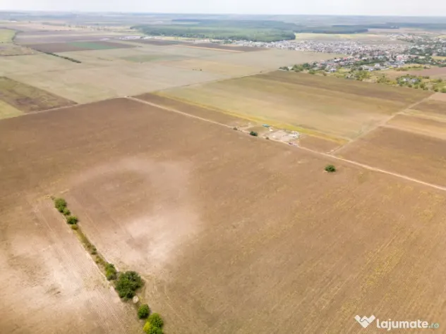 DASCALU – TEREN INTRAVILAN 11300 MP, INVESTITIE! - Dascalu (Bucuresti-Ilfov)
