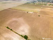 DASCALU – TEREN INTRAVILAN 11300 MP, INVESTITIE!