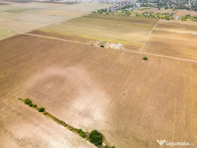 DASCALU – TEREN INTRAVILAN 11300 MP, INVESTITIE! - Dascalu (Bucuresti-Ilfov)