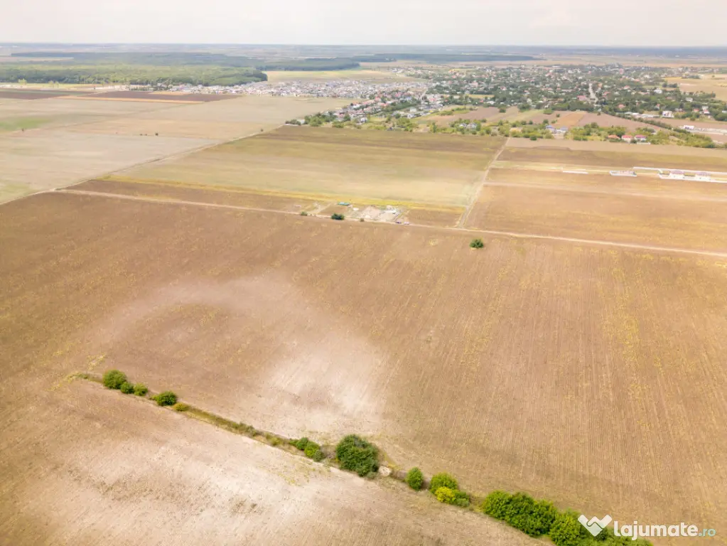 DASCALU – TEREN INTRAVILAN 11300 MP, INVESTITIE! - Dascalu (Bucuresti-Ilfov)