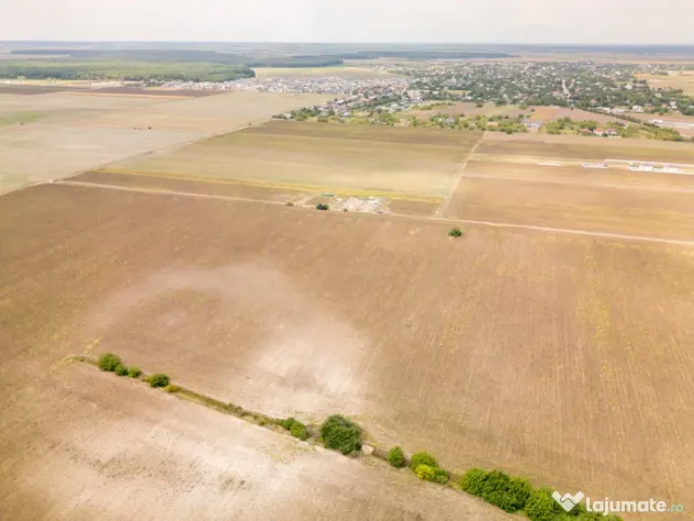 DASCALU – TEREN INTRAVILAN 11300 MP, INVESTITIE! - Dascalu (Bucuresti-Ilfov)