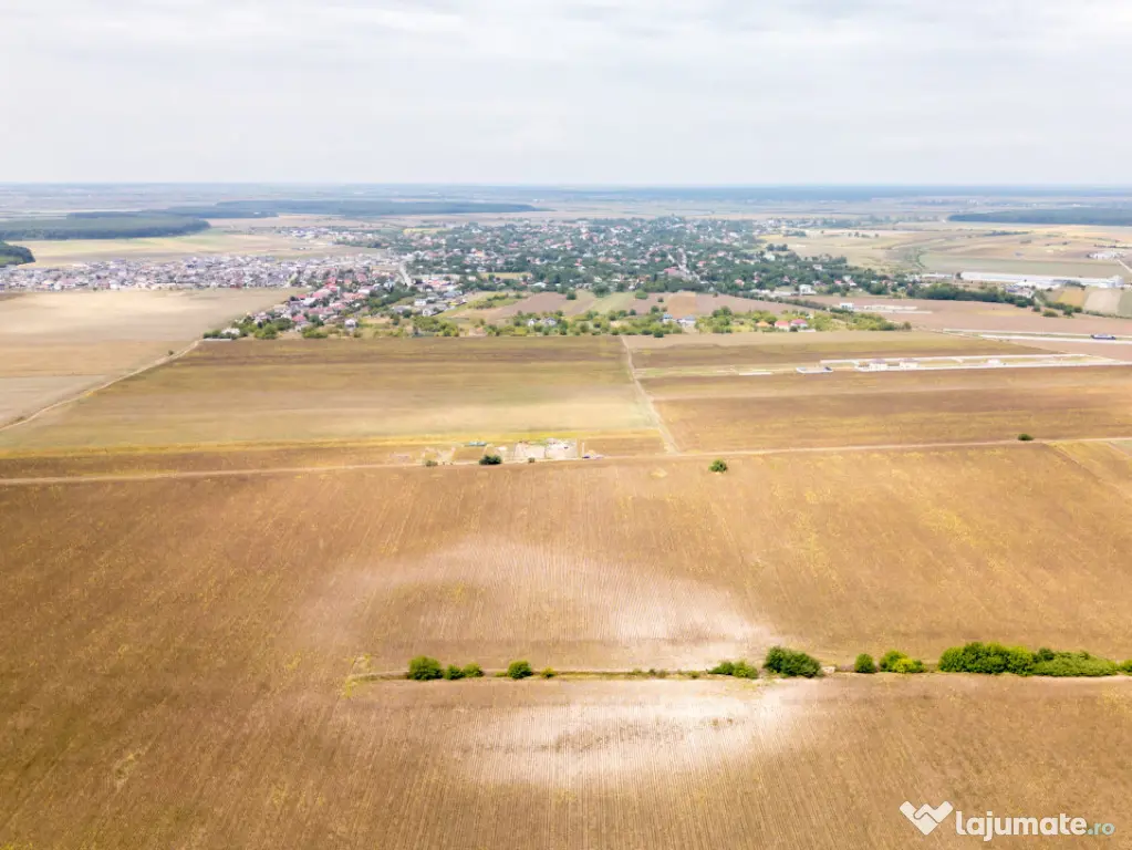 DASCALU – TEREN INTRAVILAN 11300 MP, INVESTITIE! - Dascalu (Bucuresti-Ilfov)