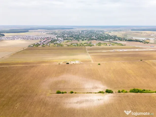 DASCALU – TEREN INTRAVILAN 11300 MP, INVESTITIE! - Dascalu (Bucuresti-Ilfov)