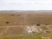 DASCALU – TEREN INTRAVILAN 11300 MP, INVESTITIE!