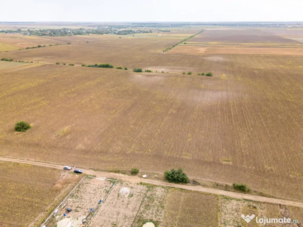 DASCALU – TEREN INTRAVILAN 11300 MP, INVESTITIE! - Dascalu (Bucuresti-Ilfov)