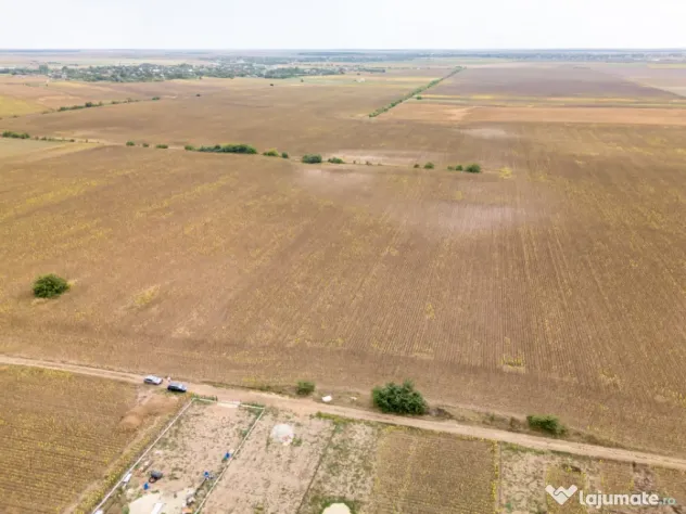 DASCALU – TEREN INTRAVILAN 11300 MP, INVESTITIE! - Dascalu (Bucuresti-Ilfov)