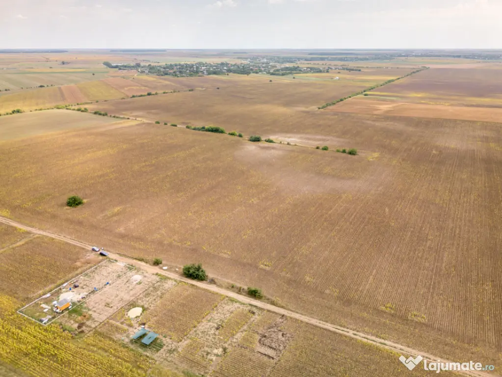 DASCALU – TEREN INTRAVILAN 11300 MP, INVESTITIE! - Dascalu (Bucuresti-Ilfov)